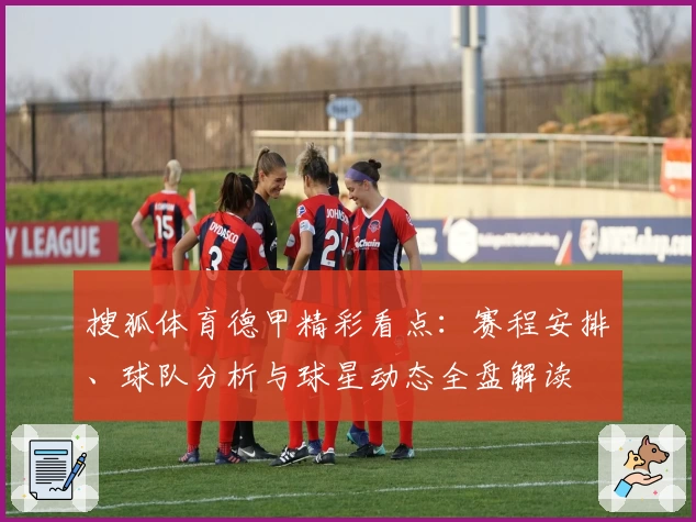 搜狐体育德甲精彩看点：赛程安排、球队分析与球星动态全盘解读