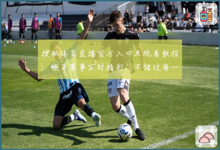 搜狐体育直播官方入口及观看教程：畅享赛事实时精彩，不错过每一场巅峰对决