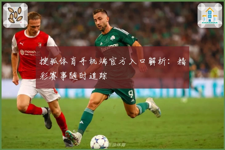 搜狐体育手机端官方入口解析：精彩赛事随时追踪