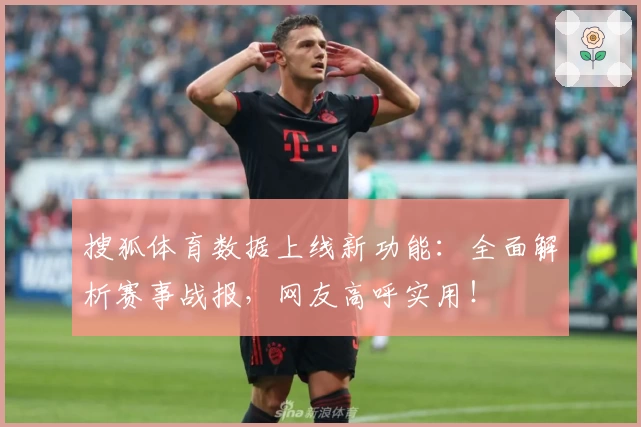 搜狐体育数据上线新功能：全面解析赛事战报，网友高呼实用！
