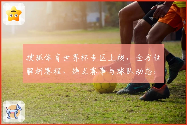 搜狐体育世界杯专区上线，全方位解析赛程、热点赛事与球队动态，带你畅享精彩足球盛宴