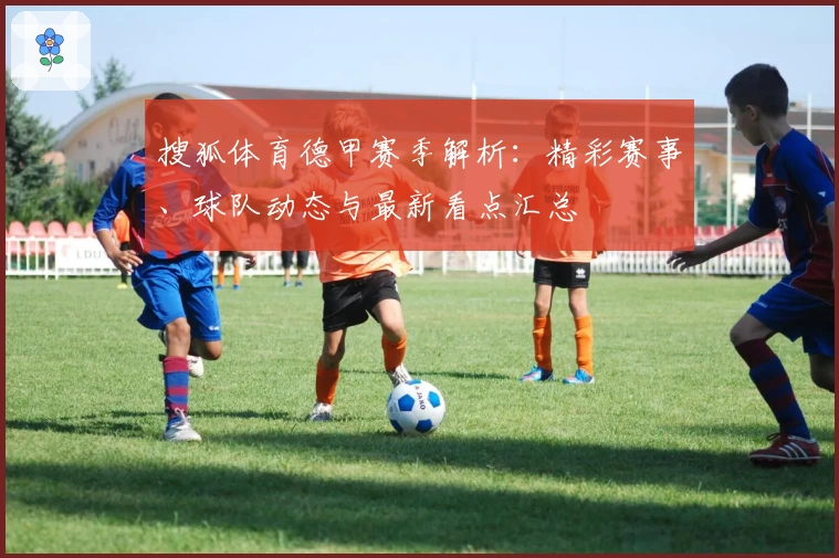 搜狐体育德甲赛季解析：精彩赛事、球队动态与最新看点汇总