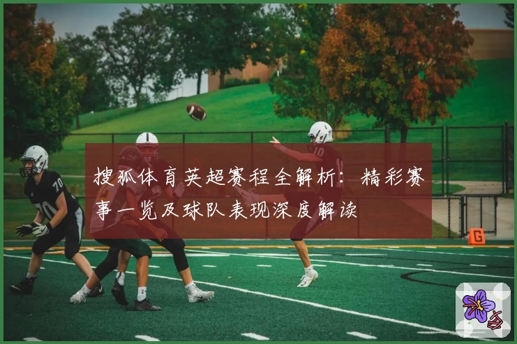 搜狐体育英超赛程全解析：精彩赛事一览及球队表现深度解读