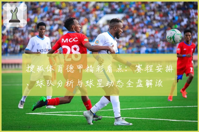 搜狐体育德甲精彩看点：赛程安排、球队分析与球星动态全盘解读