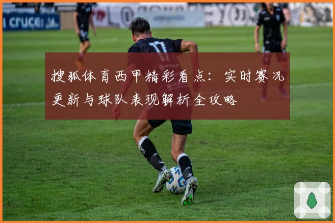 搜狐体育西甲精彩看点：实时赛况更新与球队表现解析全攻略