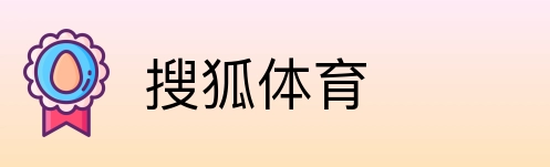 搜狐体育 Logo